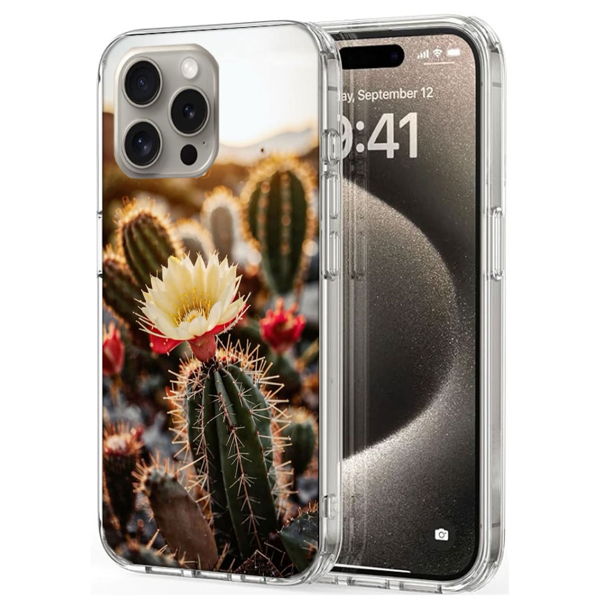 Szenische Wüste mit Kakteen Ha – Phone Cases Com Bewertung und Preis